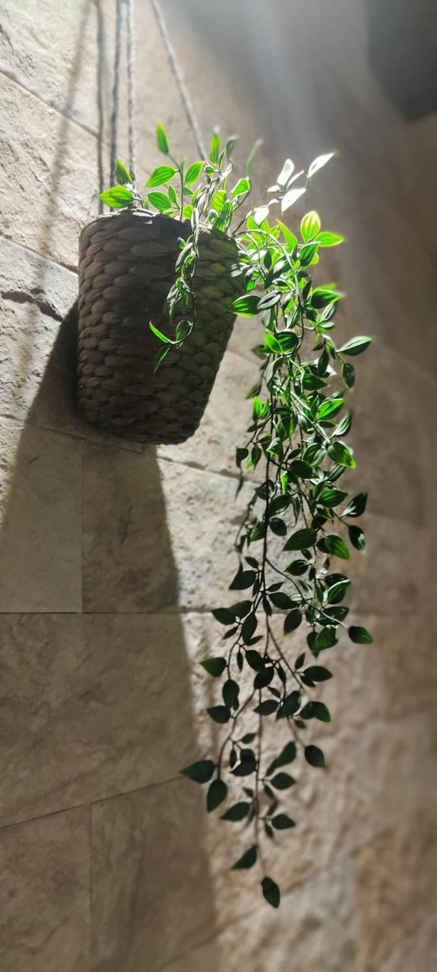 Dimora Al Saraceno Otel Ferrara Dış mekan fotoğraf